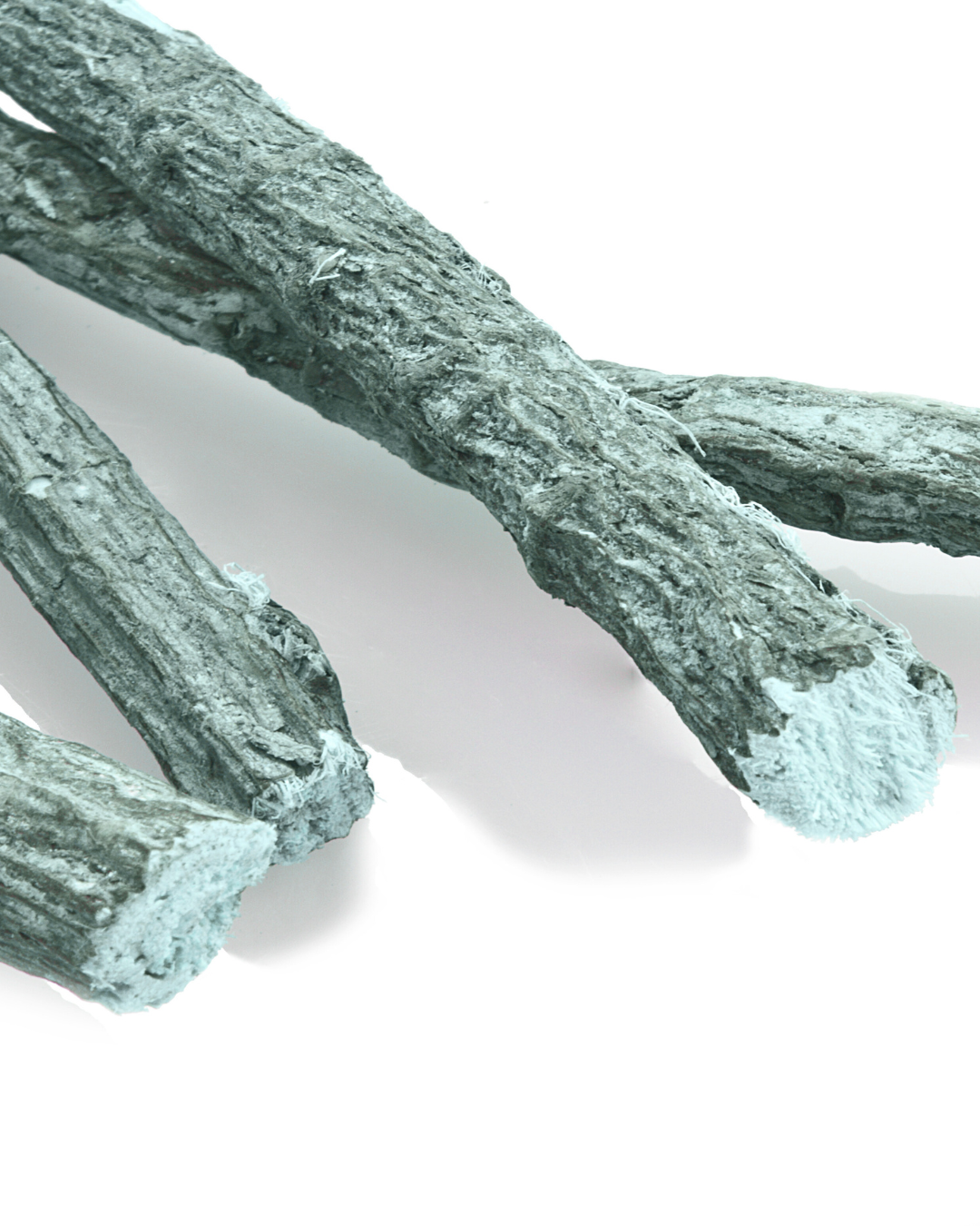 Close-up view of several dried licorice roots against a white background.